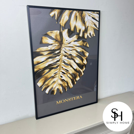 Gold Monstera