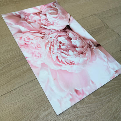'Pink Peony' Canvas