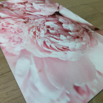 'Pink Peony' Canvas