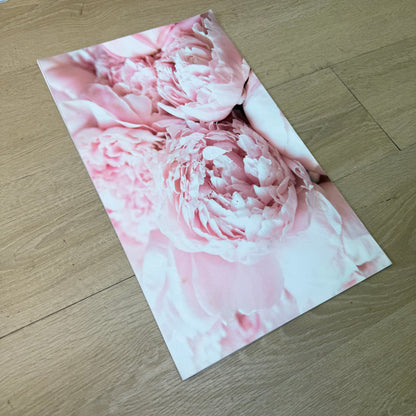 'Pink Peony' Canvas