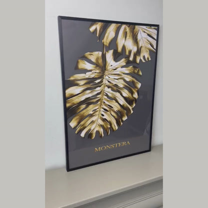 Gold Monstera